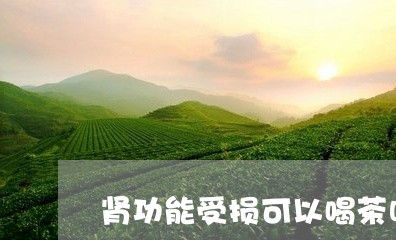 肾功能受损可以喝茶吗/2023092150506