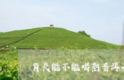 肾炎能不能喝熟普洱茶/2023072231727