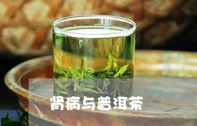 肾病与普洱茶/2023042609242