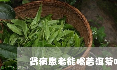 肾病患者能喝普洱茶吗/2023092618572