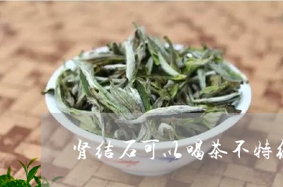 肾结石可以喝茶不特级白牡丹茶饼/2023060204928