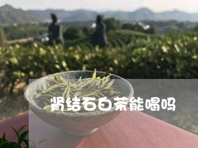 肾结石白茶能喝吗/2023071185059