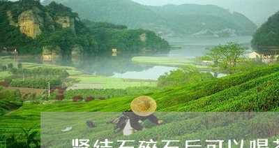 肾结石碎石后可以喝茶水吗/2023051129473