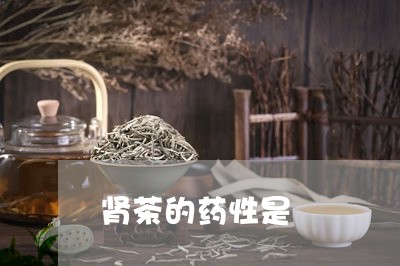 肾茶的药性是/2023042173309