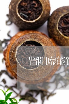 肾阳虚能饮熟普洱茶吗/2023092794139