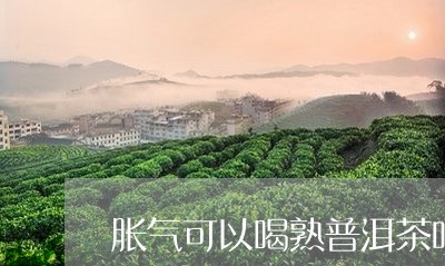 胀气可以喝熟普洱茶吗/2023062381606