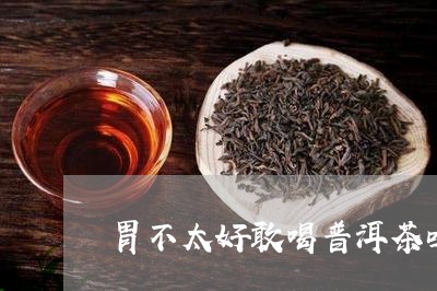 胃不太好敢喝普洱茶吗/2023062194946