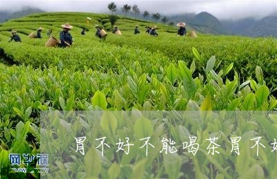 胃不好不能喝茶胃不好可以喝淡茶吗/2023060452504