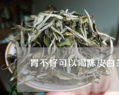 胃不好可以喝陈皮白茶水吗/2023042825258