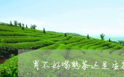 胃不好喝熟茶还是生茶/2023092231513