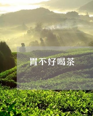 胃不好喝茶/2023090299472