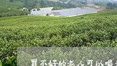 胃不好的老人可以喝普洱茶吗/2023110237261