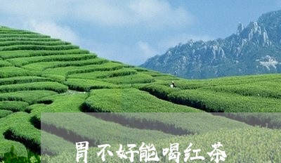 胃不好能喝红茶/2023042936590