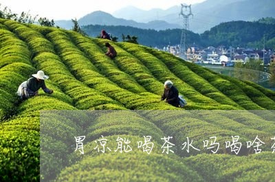 胃凉能喝茶水吗喝啥茶补肾/2023051187050