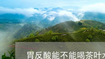 胃反酸能不能喝茶叶水/2023061150391