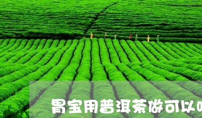 胃宝用普洱茶做可以吗/2023120660405