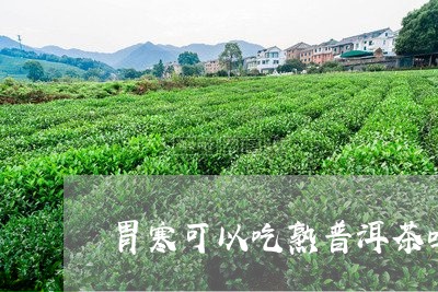 胃寒可以吃熟普洱茶吗/2023110803825