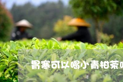 胃寒可以喝小青柑茶吗/2023092293139