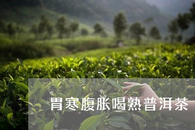 胃寒腹胀喝熟普洱茶/2023071050524