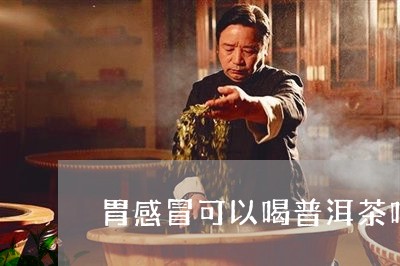 胃感冒可以喝普洱茶吗/2023092940592