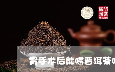 胃手术后能喝普洱茶吗/2023092928394