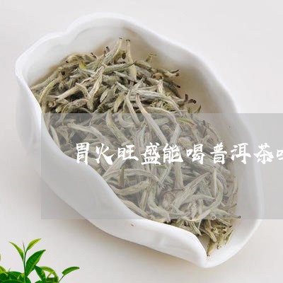 胃火旺盛能喝普洱茶吗/2023062142817