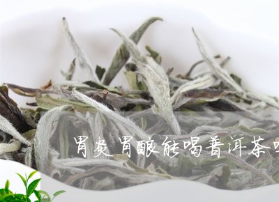 胃炎胃酸能喝普洱茶吗/2023092851404