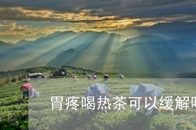 胃疼喝热茶可以缓解吗/2023060892795