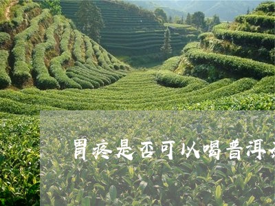 胃疼是否可以喝普洱茶/2023062993148