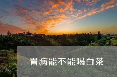 胃病能不能喝白茶/2023071137472