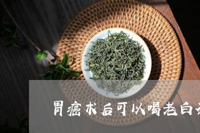 胃癌术后可以喝老白茶吗/2023110318481