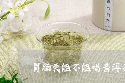 胃肠炎能不能喝普洱茶/2023061512726