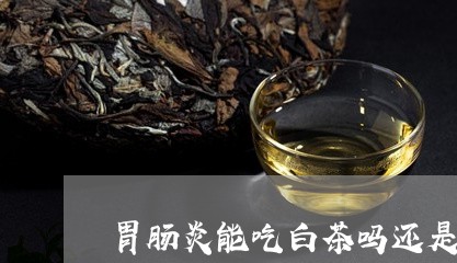 胃肠炎能吃白茶吗还是红茶/2023042815136