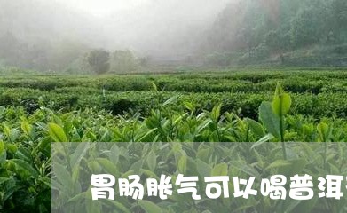 胃肠胀气可以喝普洱茶/2023080119362