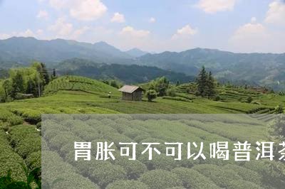 胃胀可不可以喝普洱茶/2023092530470