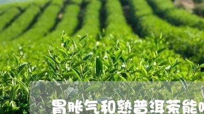 胃胀气和熟普洱茶能喝吗/2023082729504