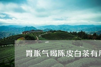 胃胀气喝陈皮白茶有用吗/2023063021725