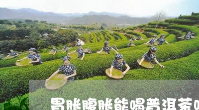 胃胀腹胀能喝普洱茶吗/2023062885057