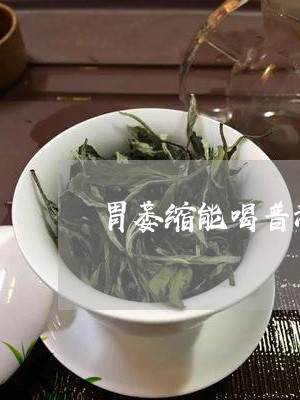 胃萎缩能喝普洱茶么/2023071078492