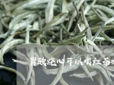 胃酸烧心可以喝红茶吗/2023060827281