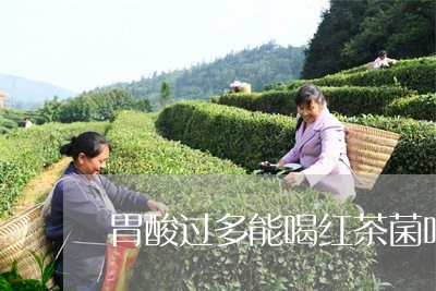 胃酸过多能喝红茶菌吗/2023071448513