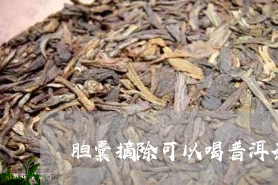 胆囊摘除可以喝普洱茶吗/2023112819371