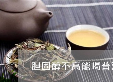 胆固醇不高能喝普洱茶/2023093047614