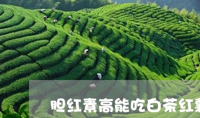 胆红素高能吃白茶红薯吗/2023110350393