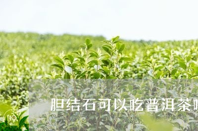 胆结石可以吃普洱茶吗/2023062260262