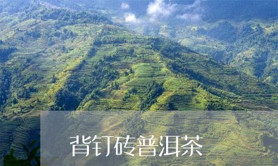 背钉砖普洱茶/2023042575151