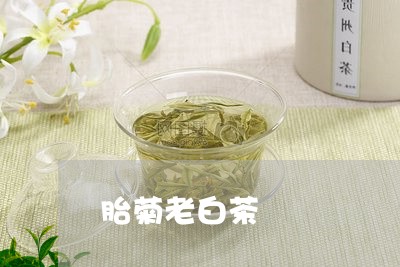 胎菊老白茶/2023051150795