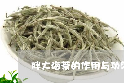 胖大海茶的作用与功效/2023071598248