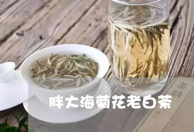 胖大海菊花老白茶/2023071149593