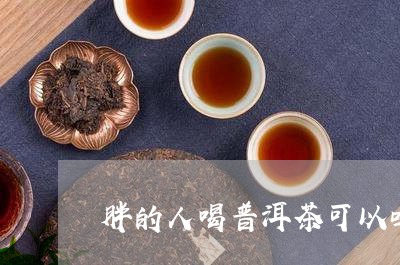 胖的人喝普洱茶可以吗/2023093063836